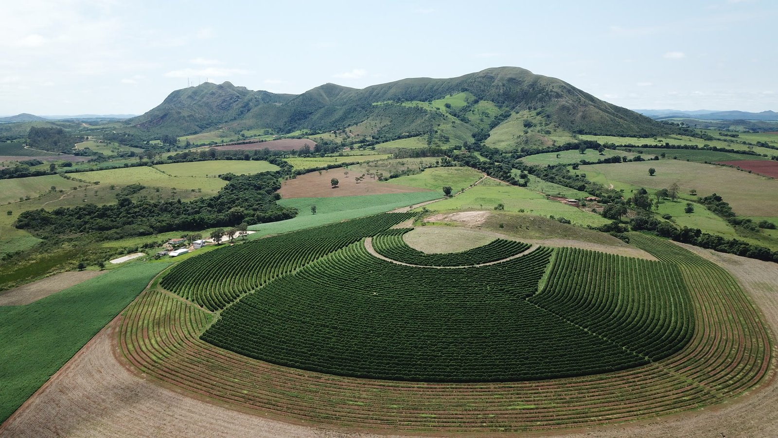 Vista aérea da lavoura de café da Fazenda Goiabas com a serra ao fundo